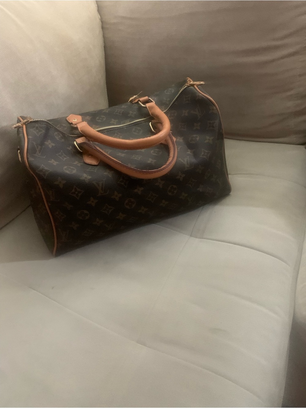 Brown Monogram Canvas Speedy Bag